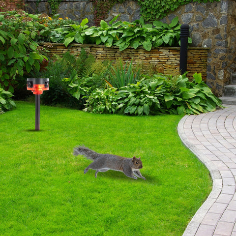 motion detector strobe light in a garden