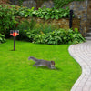 Image of motion detector strobe light in a garden