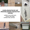 Image of stainless steel wool pads for squirrel control, application