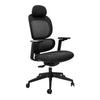 Image of Ergonomic Home Office Chair with Soft Cushion & Lumbar Support