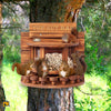 Image of feeder for squirrels on a tree