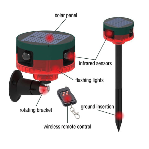 motion detector strobe light, details
