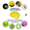 Image of dual-sided sticky traps, applicable for all kinds of insects