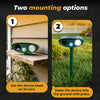Image of Solar Ultrasonic Raccoon Repellent Outdoor