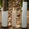 Image of squirrel baffle for trees, installed