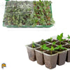 Image of seed starter tray with seedlings inside