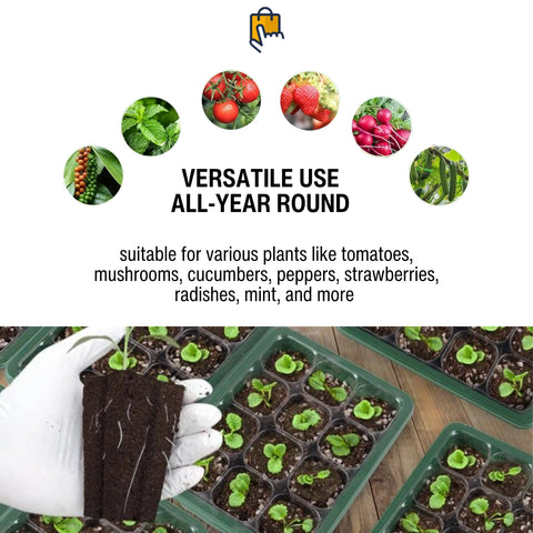 seed starter tray, versatile use for various seedlings