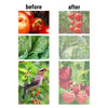 Image of Garden Mesh Netting Protection Kit