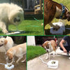 Image of Outdoor Dog Drinking Fountain Step On Sprinkler Pedal