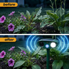 Image of Solar Ultrasonic Earwig Repellent Outdoor