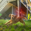 Image of Solar Sound Alarm for Dogs - Motion-Activated Dogs Repeller