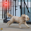 Image of Solar Sound Alarm for Dogs - Motion-Activated Dogs Repeller