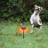Image of Strobe Light for Dogs - Motion Detector Dogs Repeller