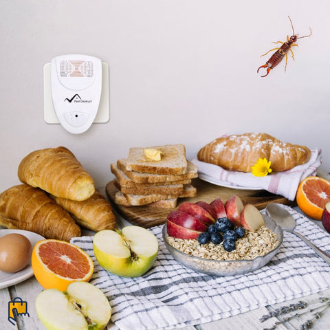 ultrasonic earwig repeller