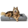 Image of Dog Sofa Bed