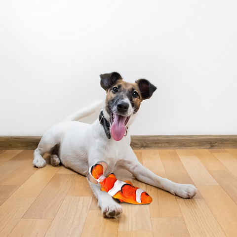 Electric Flopping Fish Toy for Cat or Dog