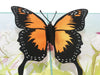 Image of 3D Orange Butterfly Pop Up Card and Envelope