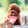 Image of Dog 12oz Water Bottle