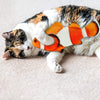 Image of Electric Flopping Fish Toy for Cat or Dog