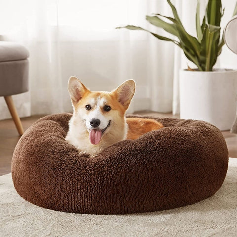 Calming Donut Cat Dog Bed