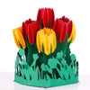 Image of 3D Tulips Pop Up Card and Envelope