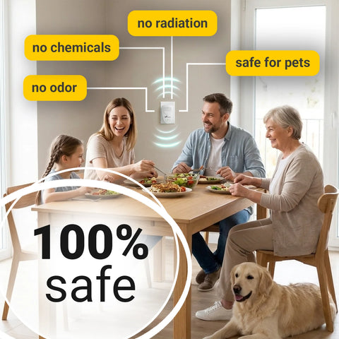 Ultrasonic Gnat Repeller