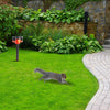 Image of Solar Strobe Light Motion-Activated Squirrel Repeller