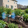 Image of Solar Ultrasonic Raccoon Repellent Outdoor