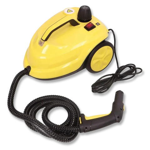 Steam Cleaner for Bed Bugs