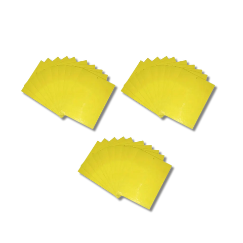 Dual-Sided Insect Sticky Traps