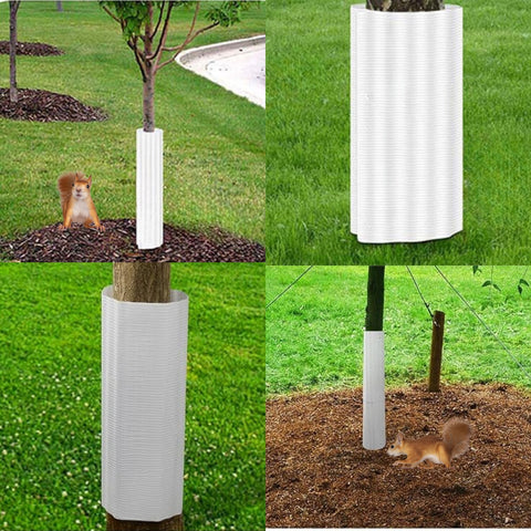 Tree Baffle for Squirrels and Chipmunks - 6 Pack