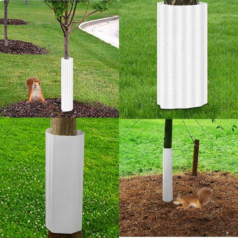 squirrel baffle for trees installed