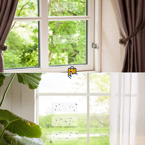 Window Fly & Insect Traps - Transparent Sticky Traps