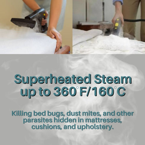 Steam Cleaner for Bed Bugs - Get Rid of Bed Bugs in 7 Days