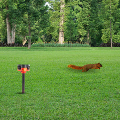 Squirrel Repeller – Solar Strobe & Predator Sounds
