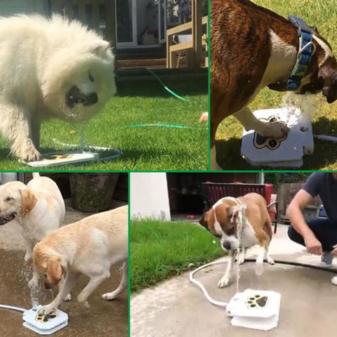 Outdoor Dog Drinking Fountain Step On Sprinkler Pedal