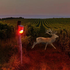 Solar Motion Activated Deer Repeller Outdoor