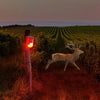 Image of Solar Sound Alarm Motion-Activated Deer Repeller