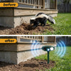 Image of Solar Ultrasonic Skunk Repellent Outdoor