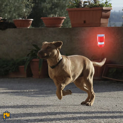 Dog Repeller – Solar Motion Activated Sound Alarm