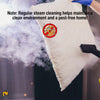 Image of handheld steam cleaner for bed bugs