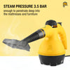 Image of handheld steam cleaner for bed bugs