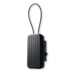 Portable Safe