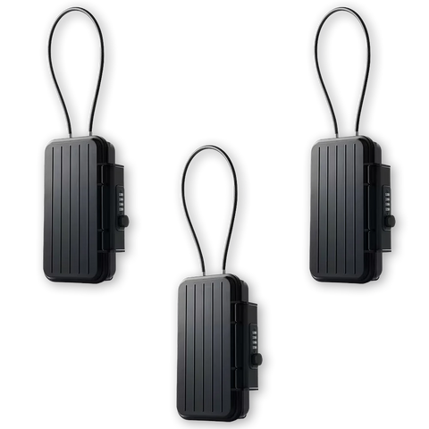 Portable Safe