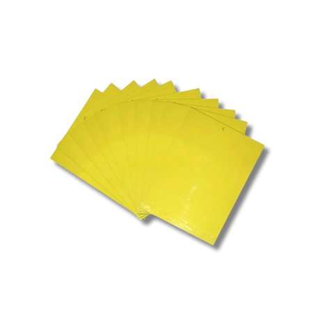 Dual-Sided Insect Sticky Traps