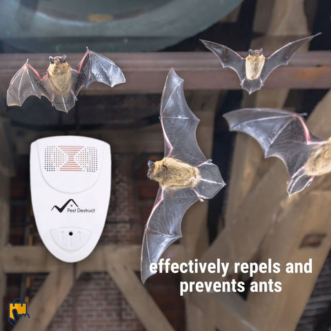 ultrasonic bat repeller