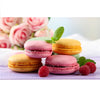 Image of DIY Paint by Numbers Canvas Painting Kit - Colorful Macarons