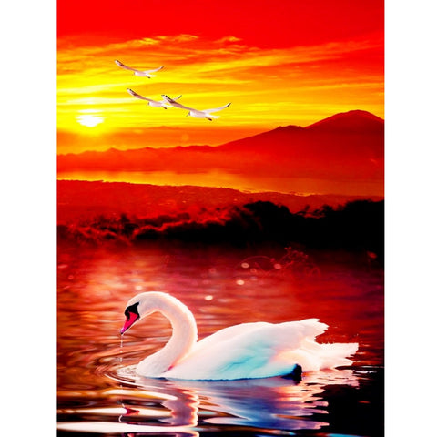 DIY Paint by Numbers Canvas Painting Kit - Red Swan