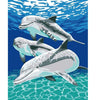 Image of DIY Paint by Numbers Canvas Painting Kit - Dolphins