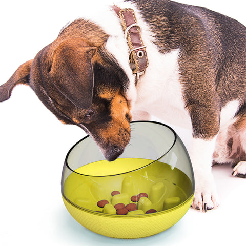 Slow Feeder Dog Bowl